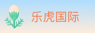 乐虎国际 logo